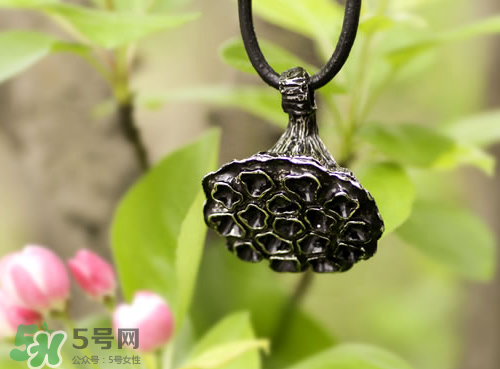 蓮蓬有什么寓意？蓮蓬吊墜帶著什么寓意？