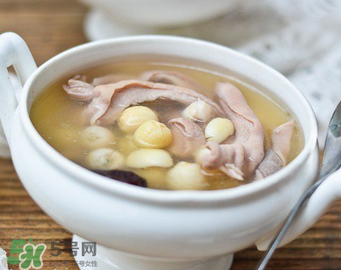 新鮮蓮子可以燉湯嗎？新鮮蓮子怎么煲湯？