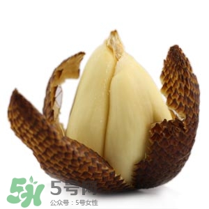 蛇皮果怎么挑？蛇皮果怎么剝？