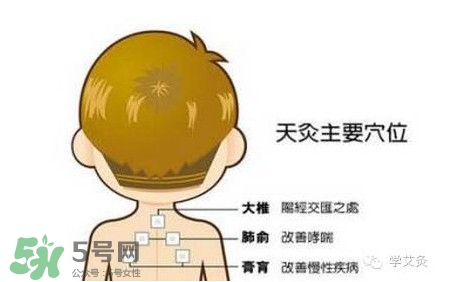 三伏灸灸哪里？三伏灸是每天都灸嗎