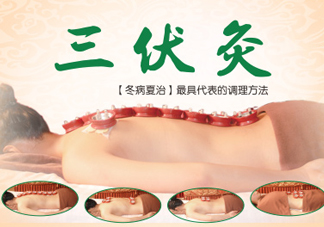三伏灸灸哪里？三伏灸是每天都灸嗎
