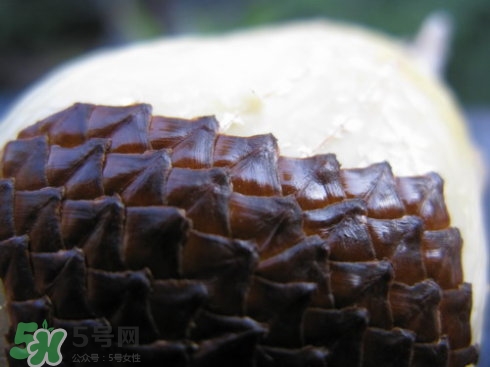 蛇皮果能生吃嗎？蛇皮果能放冰箱嗎？