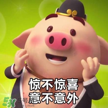 豬小屁表情包是什么？豬小屁表情包為什么這么火？