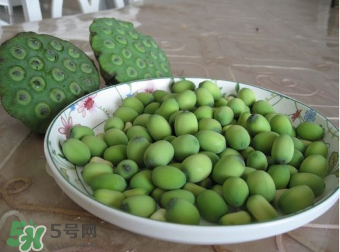 新鮮蓮子多少錢一斤？新鮮蓮子哪里有賣？