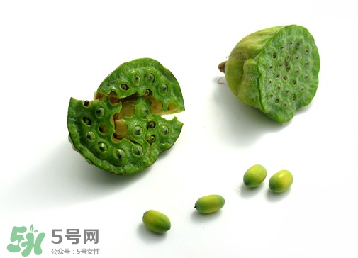 新鮮蓮子可以直接吃嗎？生蓮子可以直接吃嗎？