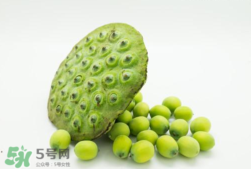 新鮮蓮子可以直接吃嗎？生蓮子可以直接吃嗎？