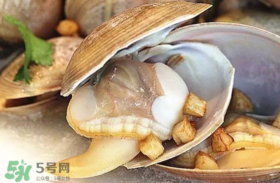 蜆子是蛤蜊嗎？蜆子和文蛤怎樣區(qū)別