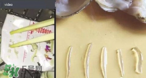 蜆子肉里白色長條東西是什么？蜆子肉里面透明的能吃嗎