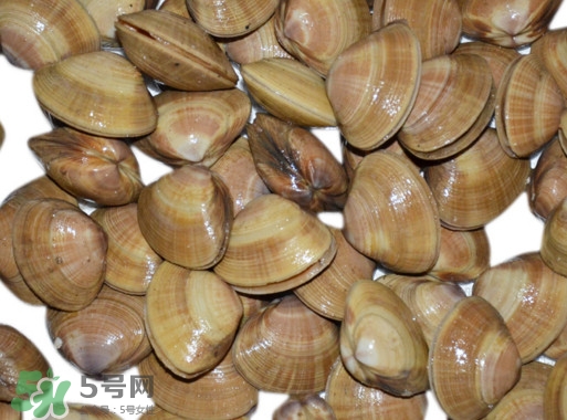蜆子是花甲嗎？蜆子是海鮮嗎？