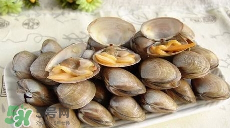蜆子是寒性的嗎？蜆子什么人不能吃