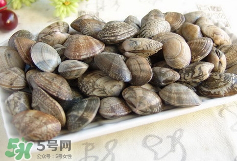 黃蜆子和花蜆子哪個好？黃蜆子和花蜆子的區(qū)別