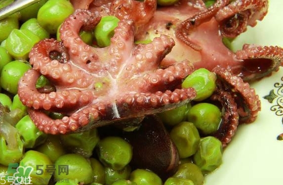 八爪魚多少錢一斤？章魚多少錢一斤