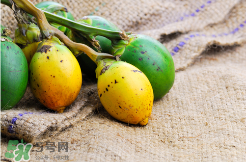 檳榔什么味道？正宗的檳榔是什么味道？
