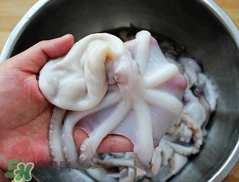 八帶魚怎么洗？八爪魚怎么處理干凈