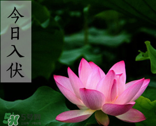 2017年頭伏是幾月幾號？2017年入伏第一天是幾月幾號？