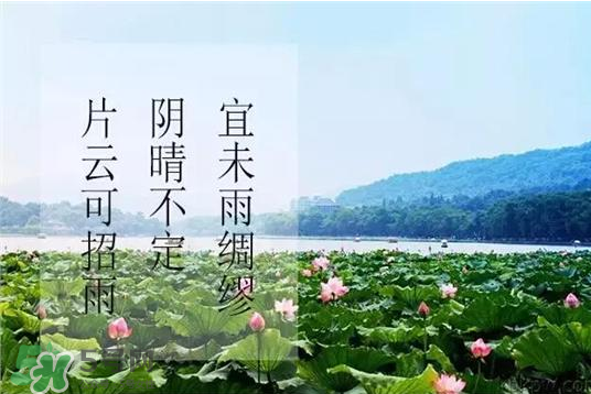2017年幾月幾號(hào)入伏？入伏是幾月幾號(hào)2017？