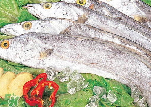 帶魚是咸的嗎？帶魚是無鱗魚嗎