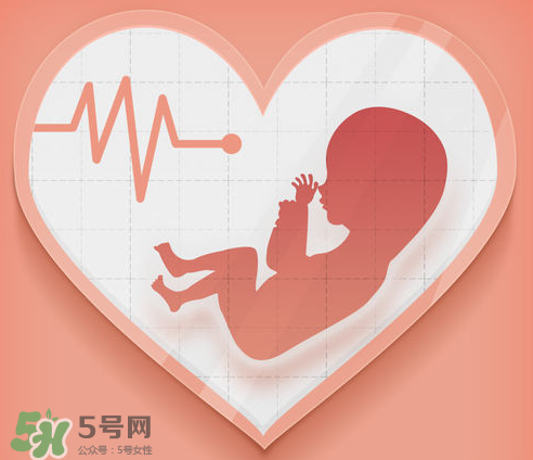 胎心儀可以天天用嗎？胎心儀的使用頻率