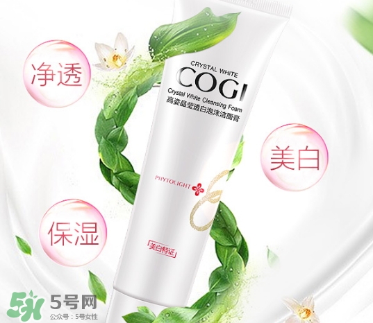 高姿洗面奶多少錢？高姿洗面奶真假查詢