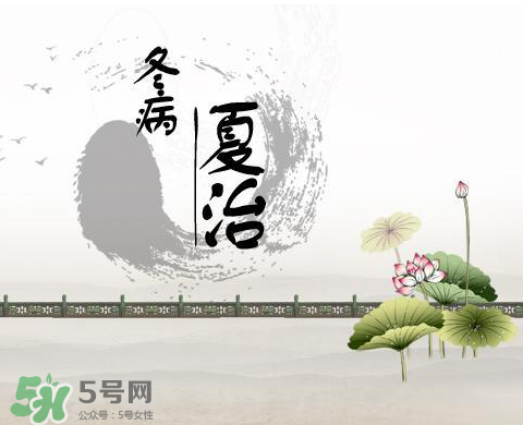 2017年三伏貼什么時(shí)候貼？2017年三伏貼貼幾天？