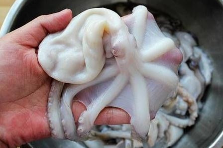 章魚是魚嗎？章魚有什么營(yíng)養(yǎng)價(jià)值？