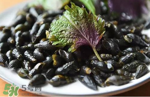 紫蘇是什么植物？紫蘇是發(fā)物嗎？