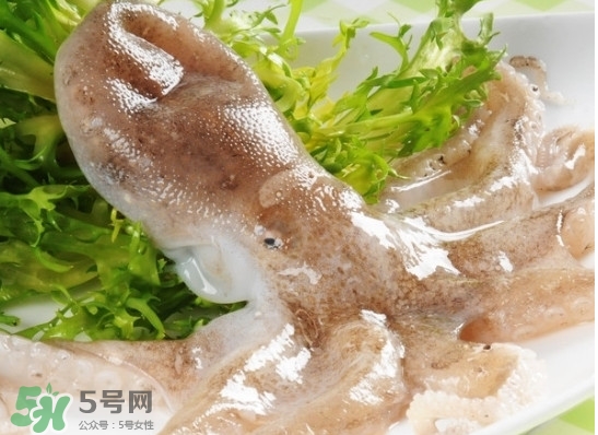 八帶魚怎么洗？八爪魚怎么處理干凈