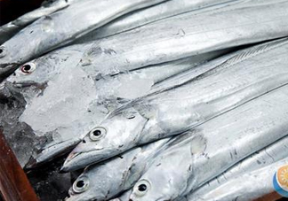 帶魚是深海魚嗎？帶魚是海鮮嗎