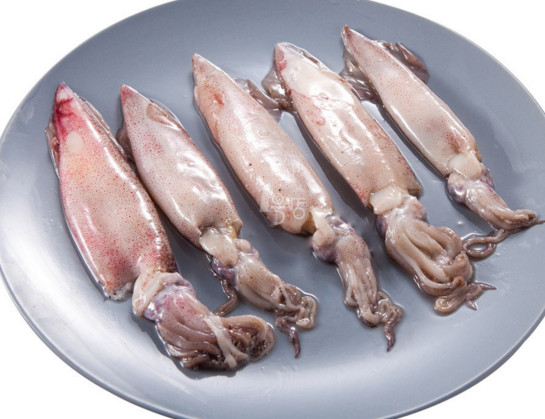 章魚是魷魚嗎？章魚和魷魚有什么區(qū)別