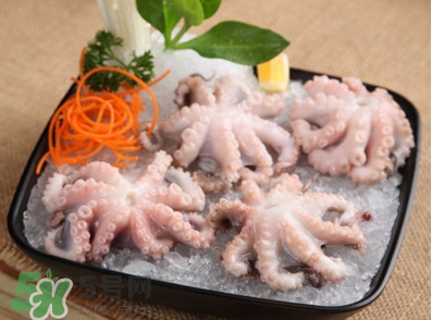 八爪魚可以生吃嗎？八爪魚生吃有寄生蟲嗎