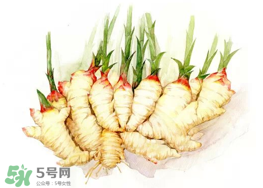 7月份可以種生姜嗎？生姜幾月份種植？