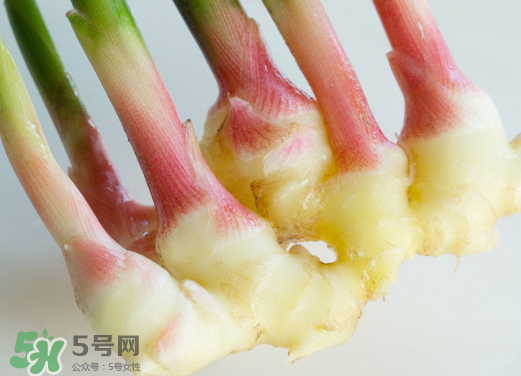 7月份可以種生姜嗎？生姜幾月份種植？