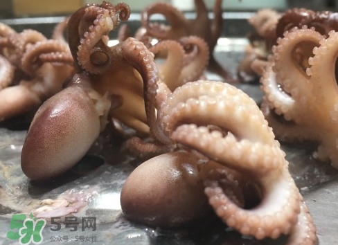 八爪魚怎么做好吃？八爪魚怎么保存