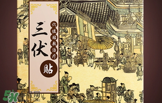 貼三伏貼可以游泳嗎？貼三伏貼游泳有什么壞處？