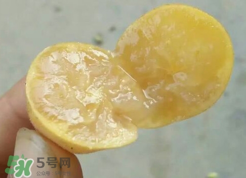 黃皮可以吃皮嗎？黃皮果可以帶皮吃嗎