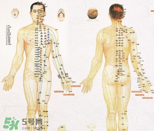 貼三伏貼可以吃西瓜嗎？貼三伏貼吃西瓜有什么害處