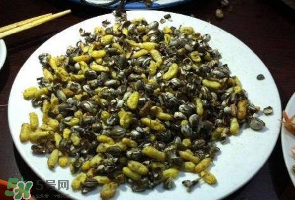洋辣子是什么？洋辣子能吃嗎？