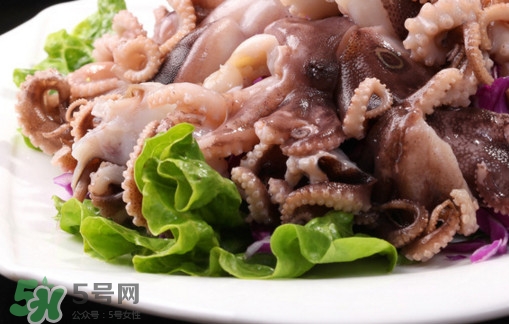 八爪魚(yú)是魷魚(yú)嗎？八爪魚(yú)是章魚(yú)嗎