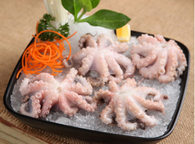八爪魚是海鮮嗎？八爪魚是發(fā)物嗎