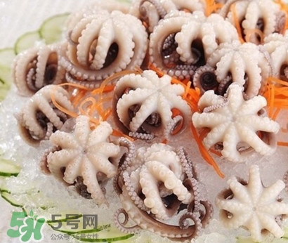 八爪魚為什么有大米？八爪魚為什么有墨汁