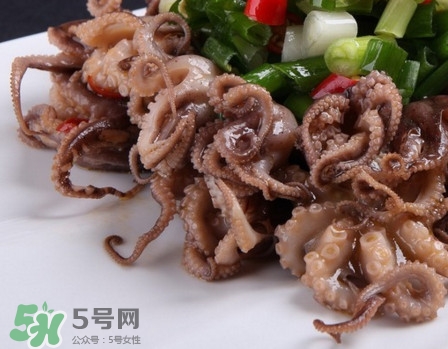 八爪魚怎么做好吃？八爪魚怎么保存