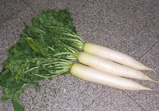 頭伏蘿卜二伏菜是什么意思？頭伏種什么菜？