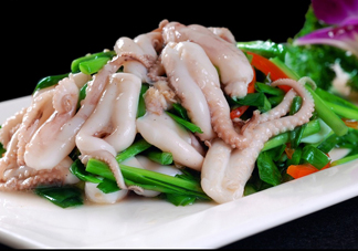 八爪魚(yú)是魷魚(yú)嗎？八爪魚(yú)是章魚(yú)嗎