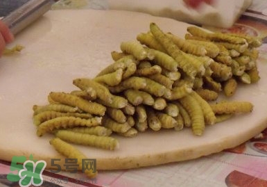 豆丹做菜前怎么處理干凈？豆丹怎么養(yǎng)殖