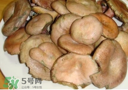 樅樹菌孕婦可以吃嗎？孕婦能吃樅樹菌嗎