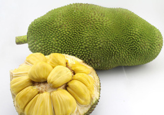木菠蘿買來怎么吃？木菠蘿吃多了會怎樣？