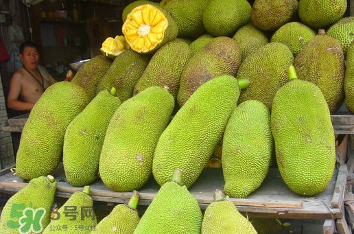 木菠蘿買來怎么吃？木菠蘿吃多了會怎樣？