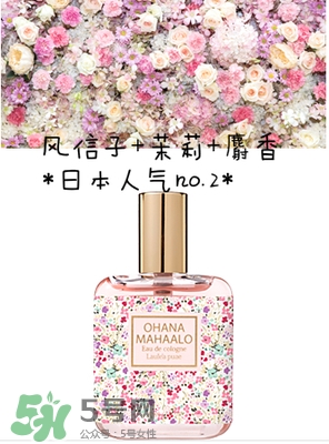 ohana mahaalo香水是什么牌子？ohana mahaalo在哪買？