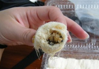 龍須糖是哪里的特產(chǎn)？龍須糖為什么叫龍須糖