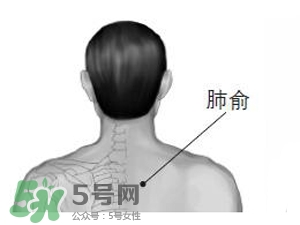 三伏貼能治過(guò)敏性鼻炎嗎？三伏貼治過(guò)敏性鼻炎貼哪里？